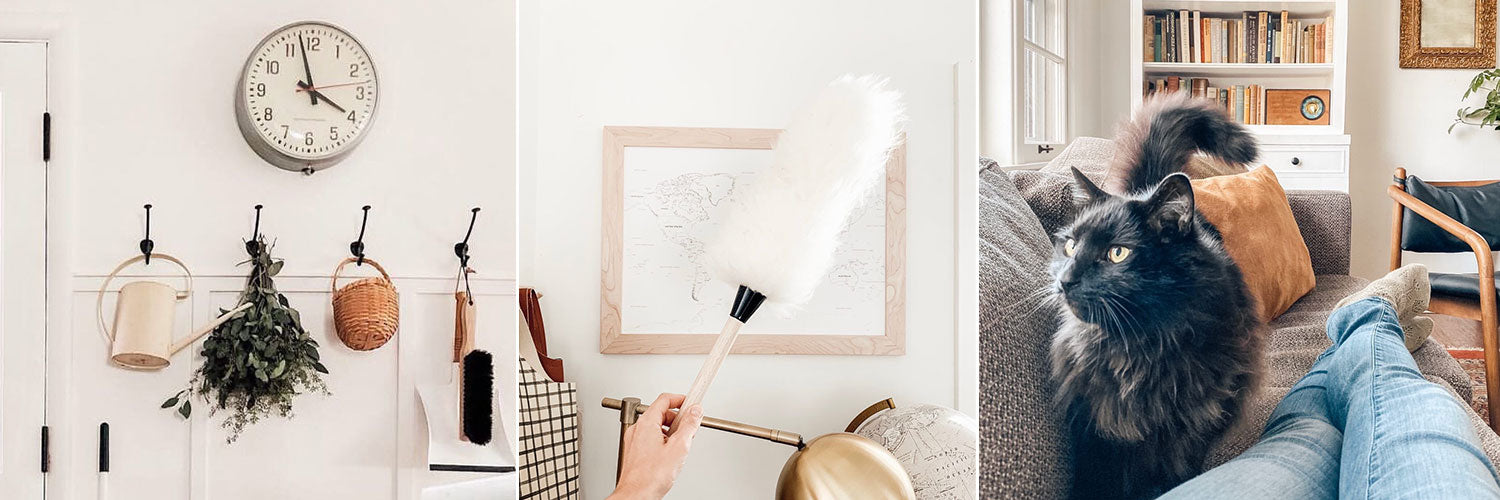 7 Dusting Tricks for a Healthier Family