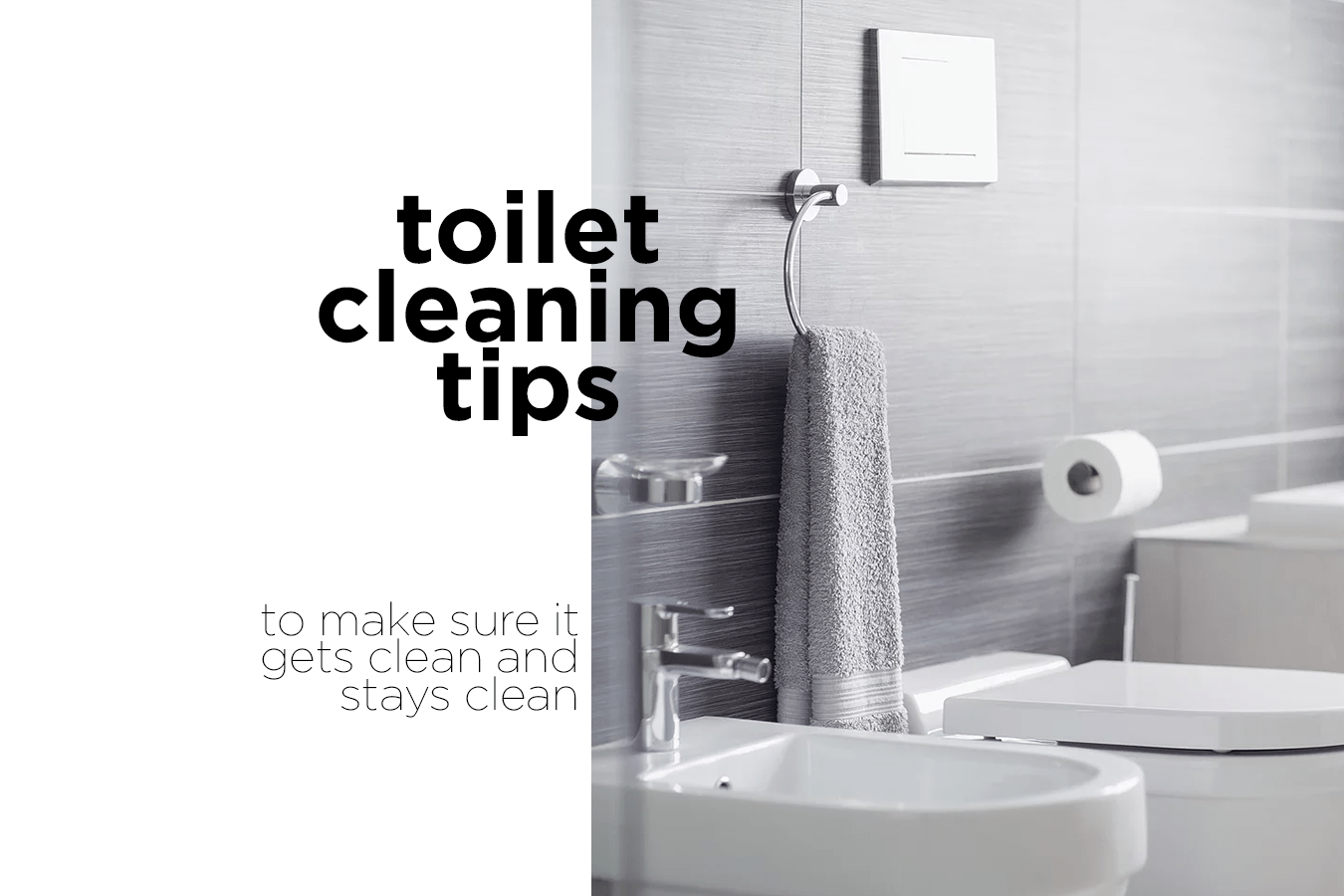 Toilet Cleaning 101 - Painless & Easy
