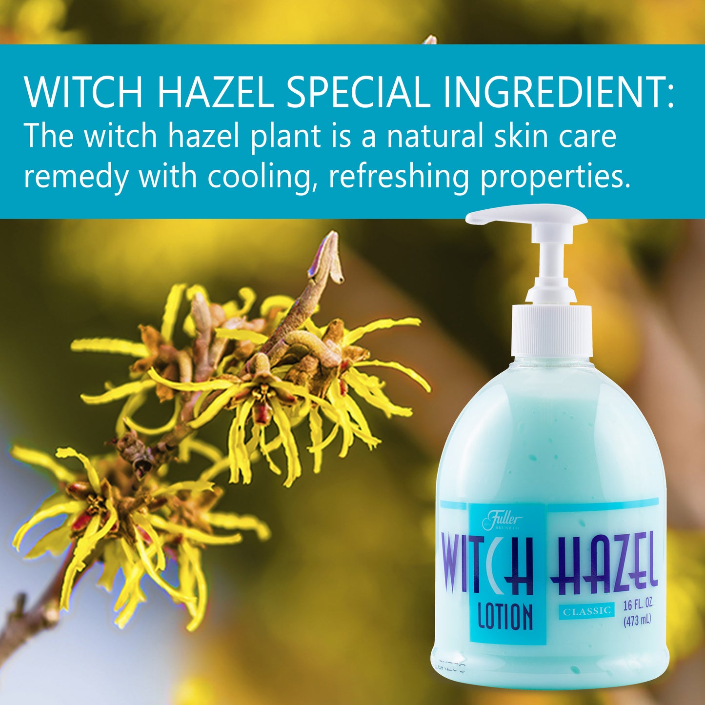 Witch Hazel Classic - Moisturizer for Dry Calloused Hands - Refreshing as After Shave
