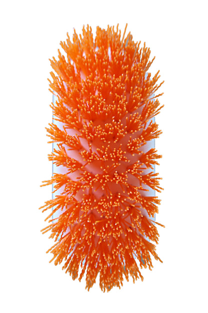 Orange Scrub Brush - All Purpose Scrubber For Tough Stain Removal