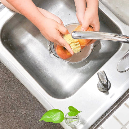 Original Vegetable Brush, Firm Bristled Veggie Scrubber