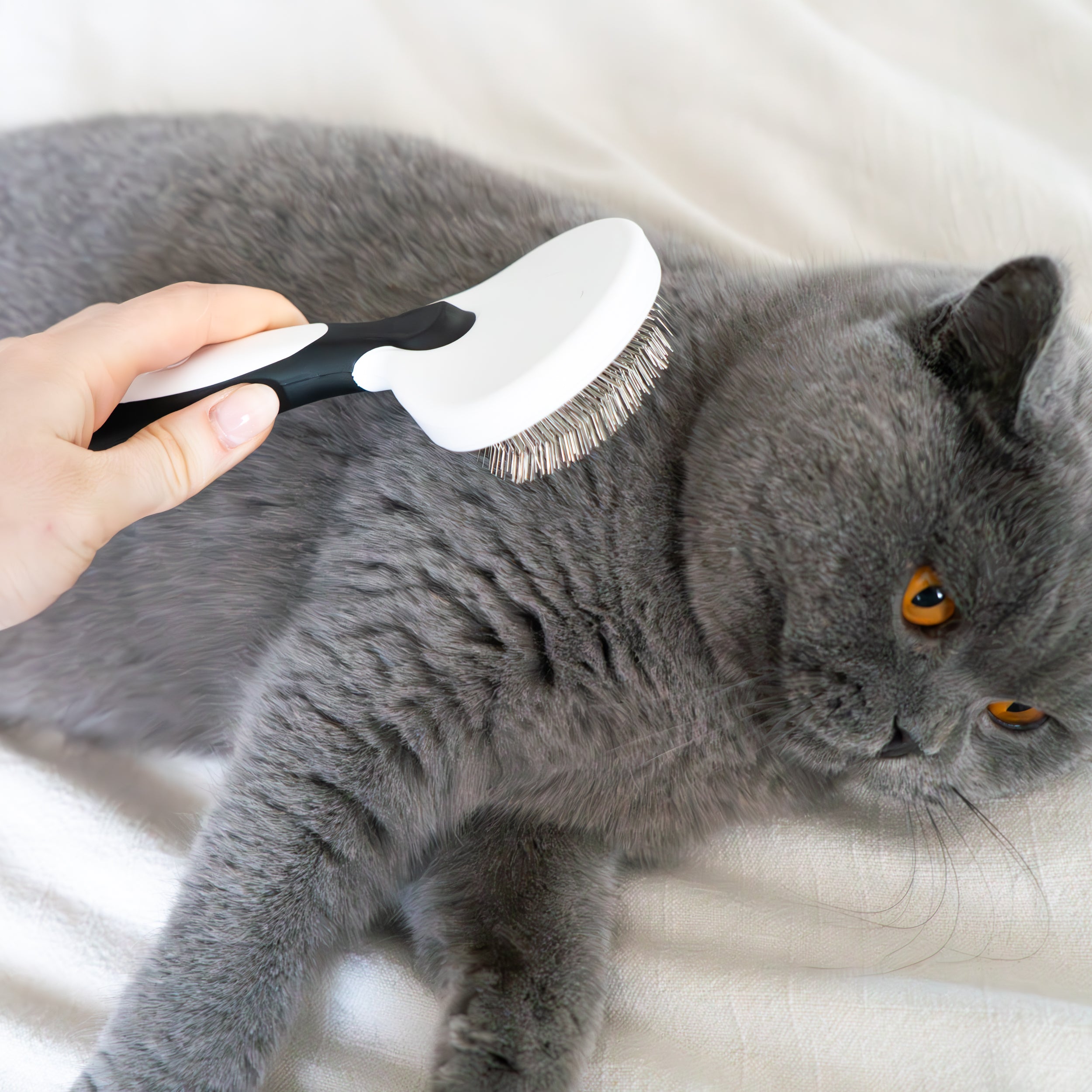 Fuller/Stanhome Pet Slicker Brush — Fuller Brush Company
